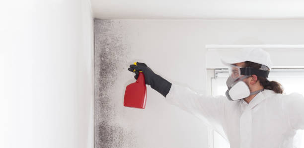 Best Best Mold Removal Companies  in Kerens, TX